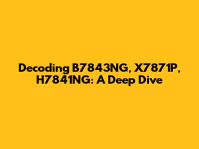 Decoding B7843NG, X7871P, H7841NG: A Deep Dive