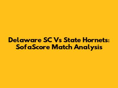 Delaware SC Vs State Hornets: SofaScore Match Analysis