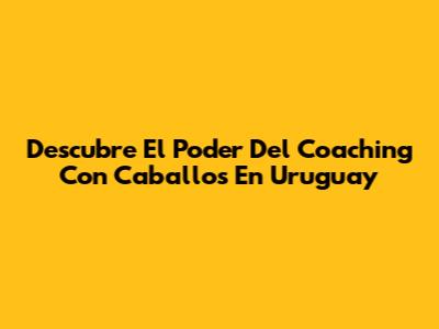 Descubre El Poder Del Coaching Con Caballos En Uruguay