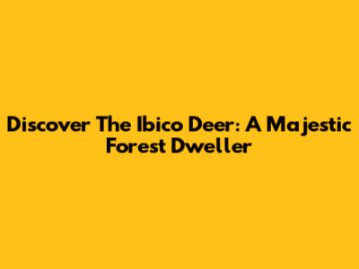 Discover The Ibico Deer: A Majestic Forest Dweller