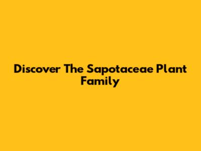 Discover The Sapotaceae Plant Family