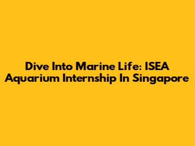 Dive Into Marine Life: ISEA Aquarium Internship In Singapore