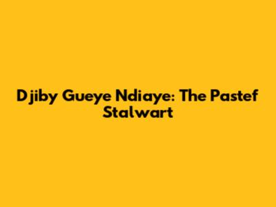 Djiby Gueye Ndiaye: The Pastef Stalwart