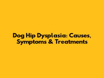 Dog Hip Dysplasia: Causes, Symptoms & Treatments