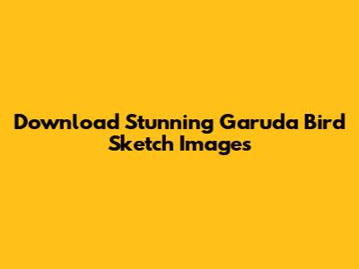 Download Stunning Garuda Bird Sketch Images