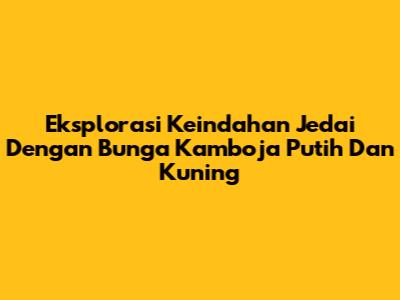 Eksplorasi Keindahan Jedai Dengan Bunga Kamboja Putih Dan Kuning