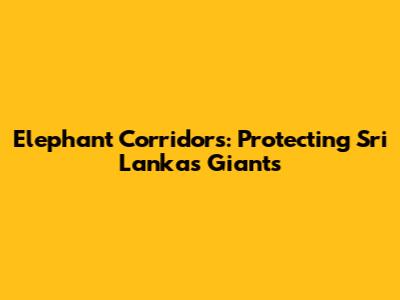 Elephant Corridors: Protecting Sri Lanka's Giants