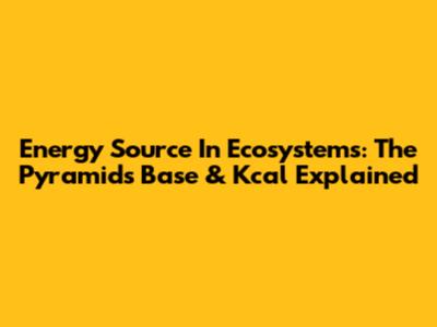 Energy Source In Ecosystems: The Pyramid's Base & Kcal Explained