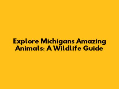 Explore Michigan's Amazing Animals: A Wildlife Guide
