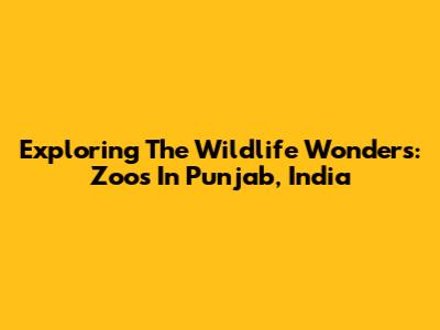 Exploring The Wildlife Wonders: Zoos In Punjab, India
