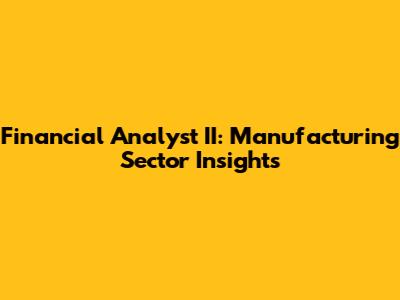Financial Analyst II: Manufacturing Sector Insights