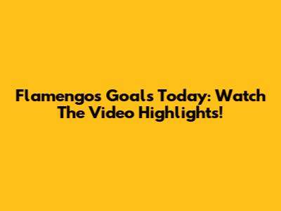 Flamengo's Goals Today: Watch The Video Highlights!
