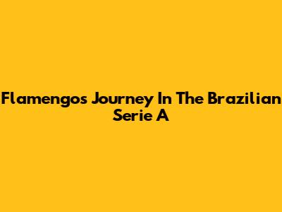Flamengo's Journey In The Brazilian Serie A
