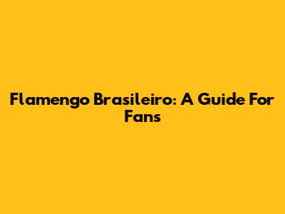 Flamengo Brasileiro: A Guide For Fans
