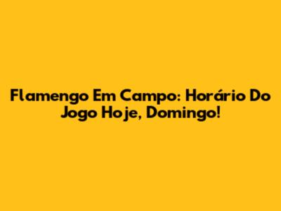 Flamengo Em Campo: Horário Do Jogo Hoje, Domingo!