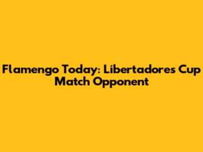 Flamengo Today: Libertadores Cup Match Opponent