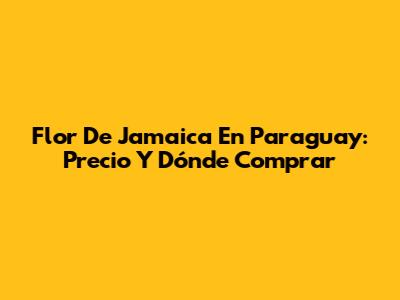 Flor De Jamaica En Paraguay: Precio Y Dónde Comprar