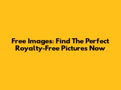Free Images: Find The Perfect Royalty-Free Pictures Now