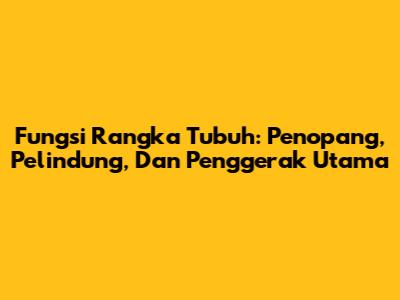 Fungsi Rangka Tubuh: Penopang, Pelindung, Dan Penggerak Utama