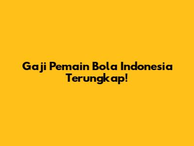Gaji Pemain Bola Indonesia Terungkap!