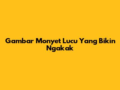 Gambar Monyet Lucu Yang Bikin Ngakak
