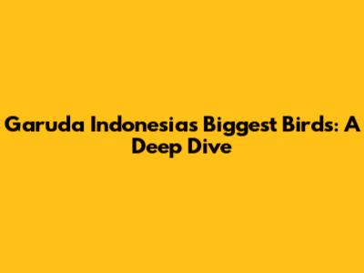 Garuda Indonesia's Biggest Birds: A Deep Dive