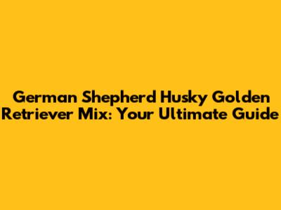 German Shepherd Husky Golden Retriever Mix: Your Ultimate Guide