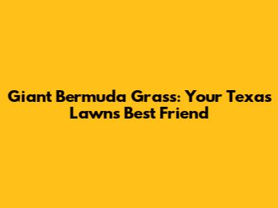 Giant Bermuda Grass: Your Texas Lawn's Best Friend