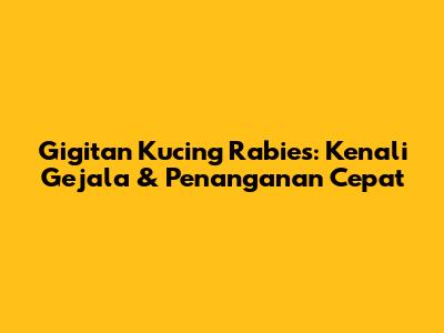 Gigitan Kucing Rabies: Kenali Gejala & Penanganan Cepat