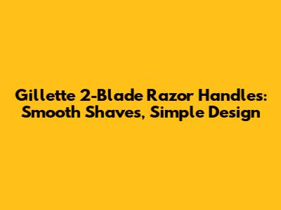 Gillette 2-Blade Razor Handles: Smooth Shaves, Simple Design