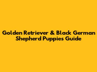 Golden Retriever & Black German Shepherd Puppies Guide
