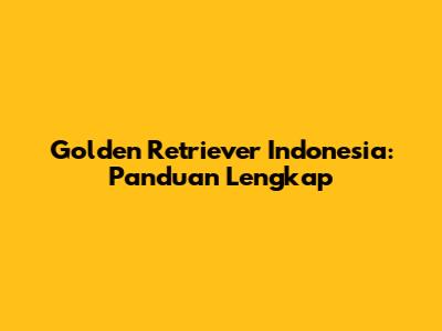 Golden Retriever Indonesia: Panduan Lengkap