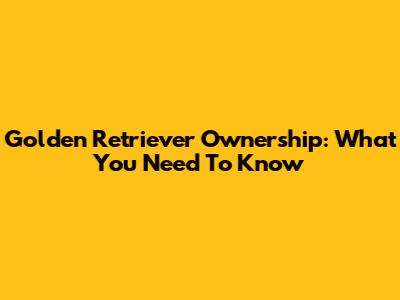 Golden Retriever Ownership: What You Need To Know