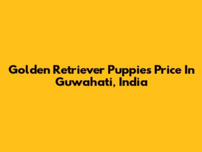 Golden Retriever Puppies Price In Guwahati, India