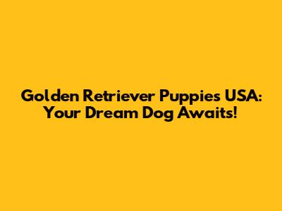 Golden Retriever Puppies USA: Your Dream Dog Awaits!