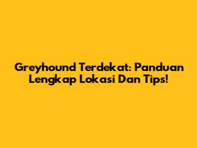 Greyhound Terdekat: Panduan Lengkap Lokasi Dan Tips!