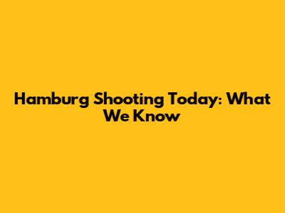 Hamburg Shooting Today: What We Know