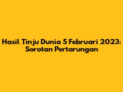 Hasil Tinju Dunia 5 Februari 2023: Sorotan Pertarungan