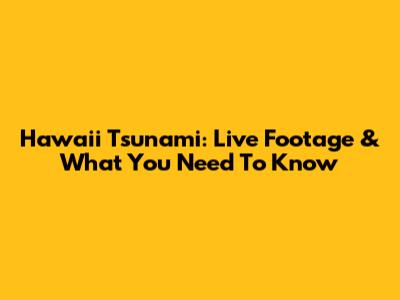 Hawaii Tsunami: Live Footage & What You Need To Know