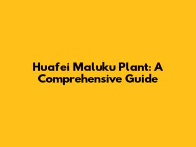 Huafei Maluku Plant: A Comprehensive Guide