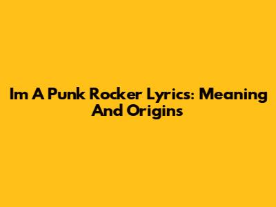 I'm A Punk Rocker Lyrics: Meaning And Origins