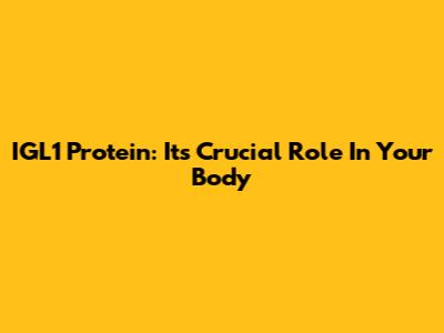 IGL1 Protein: Its Crucial Role In Your Body