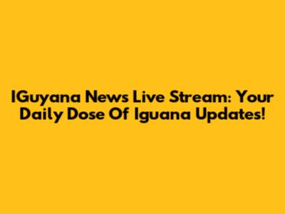 IGuyana News Live Stream: Your Daily Dose Of Iguana Updates!