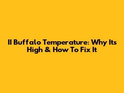 II Buffalo Temperature: Why It's High & How To Fix It