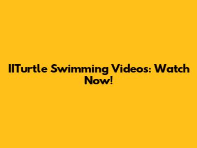 IITurtle Swimming Videos: Watch Now!