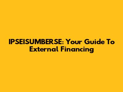 IPSEISUMBERSE: Your Guide To External Financing