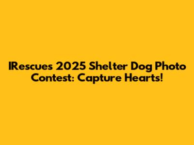 IRescue's 2025 Shelter Dog Photo Contest: Capture Hearts!