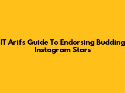 IT Arif's Guide To Endorsing Budding Instagram Stars