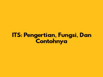 ITS: Pengertian, Fungsi, Dan Contohnya