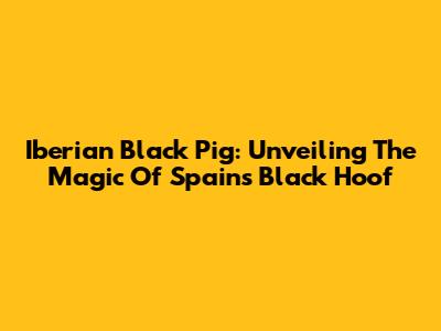 Iberian Black Pig: Unveiling The Magic Of Spain's Black Hoof